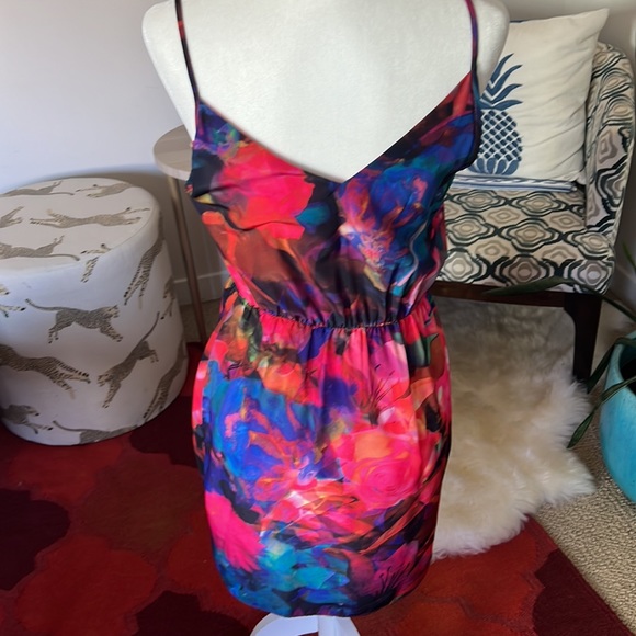 Amanda U. Vibrant Mini Dress - Picture 3 of 6